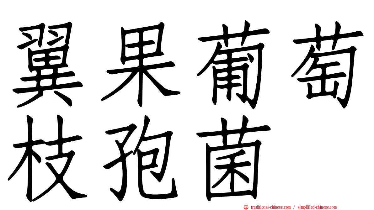 翼果葡萄枝孢菌