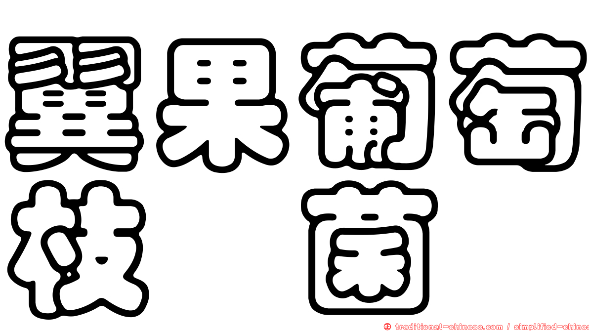 翼果葡萄枝孢菌