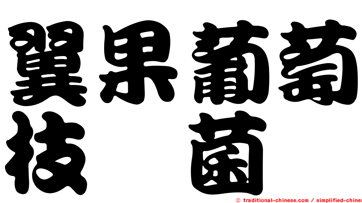 翼果葡萄枝孢菌