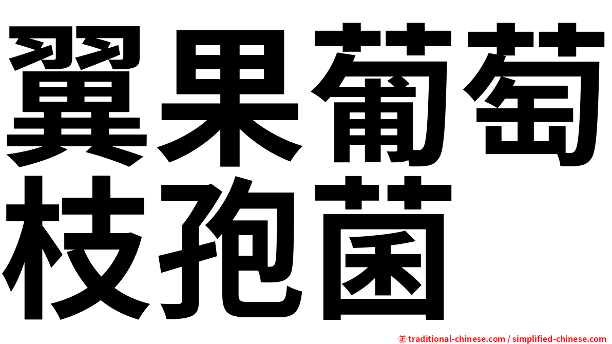 翼果葡萄枝孢菌