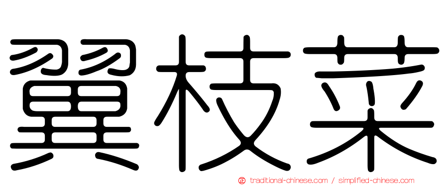 翼枝菜