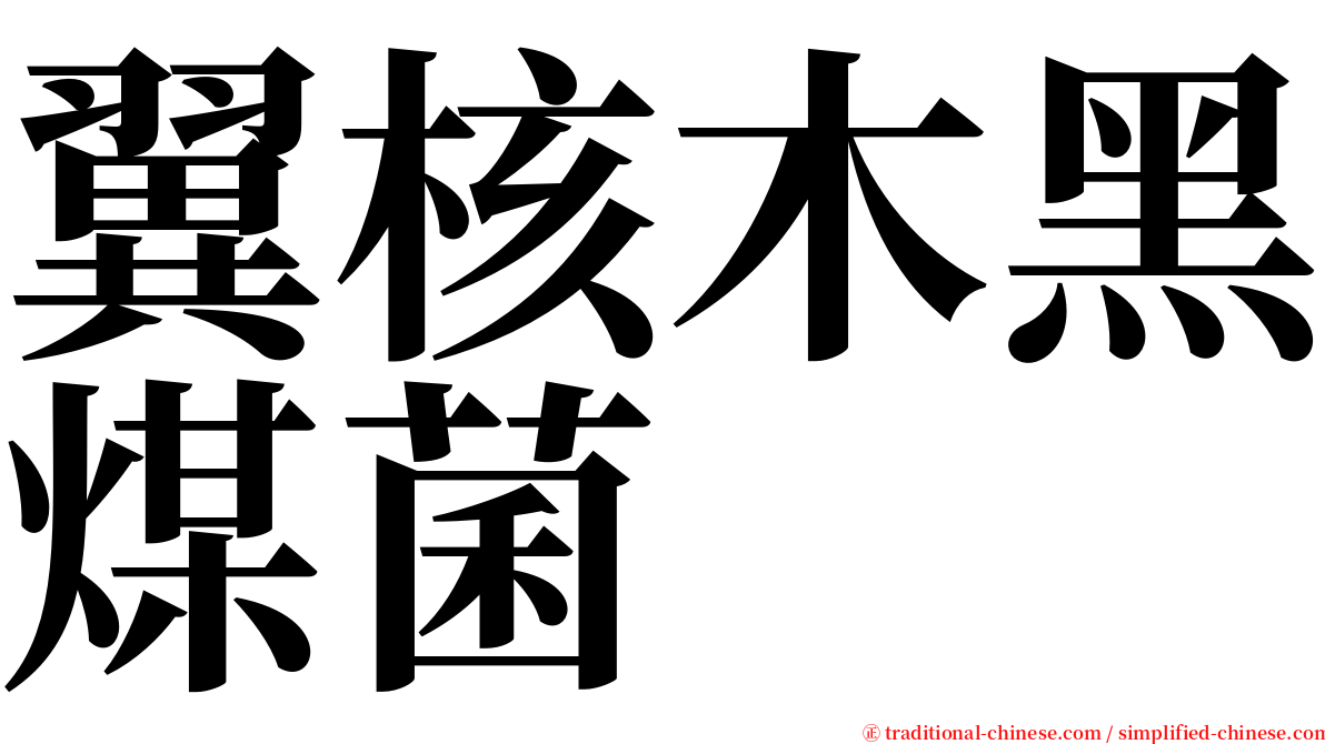 翼核木黑煤菌 serif font