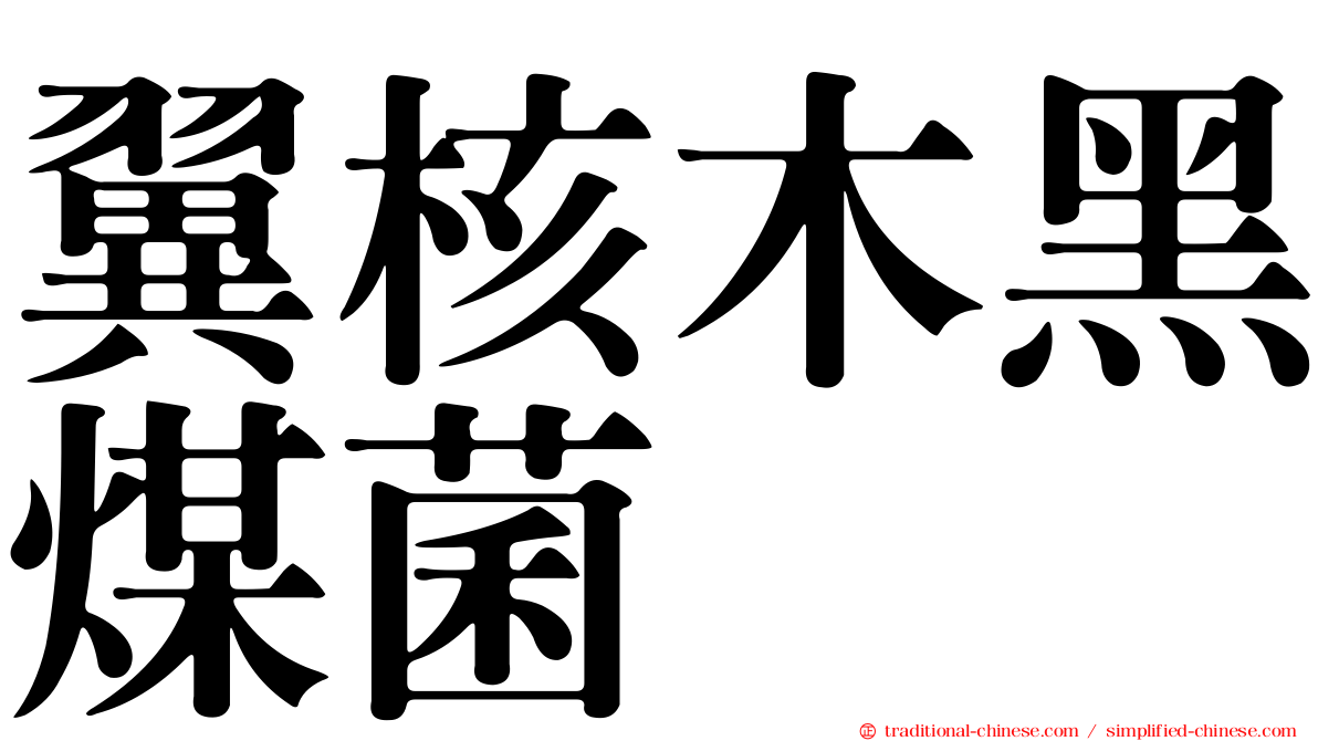 翼核木黑煤菌