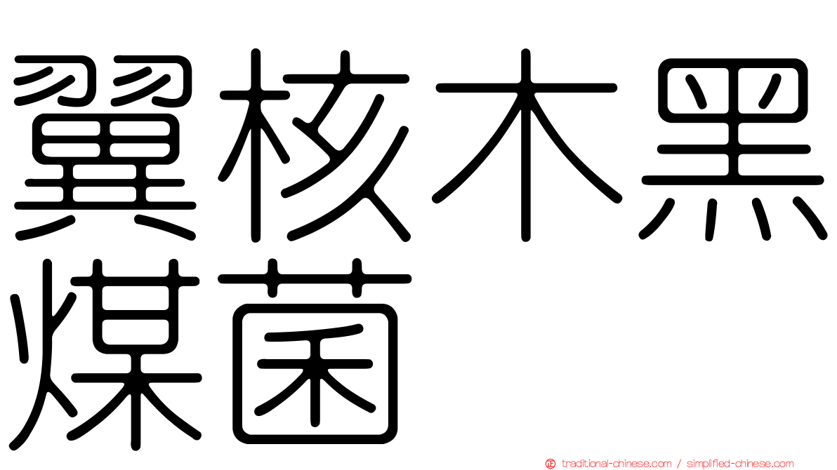 翼核木黑煤菌