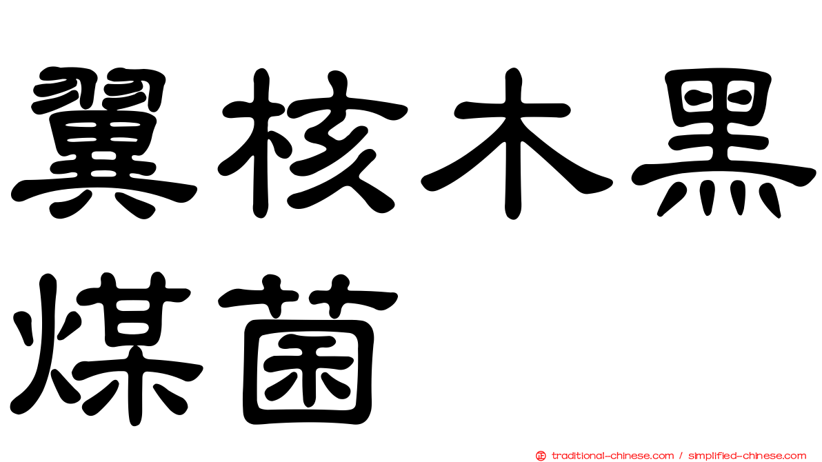 翼核木黑煤菌
