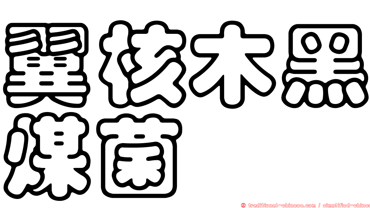 翼核木黑煤菌