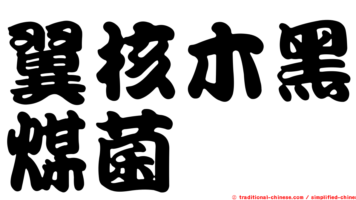 翼核木黑煤菌