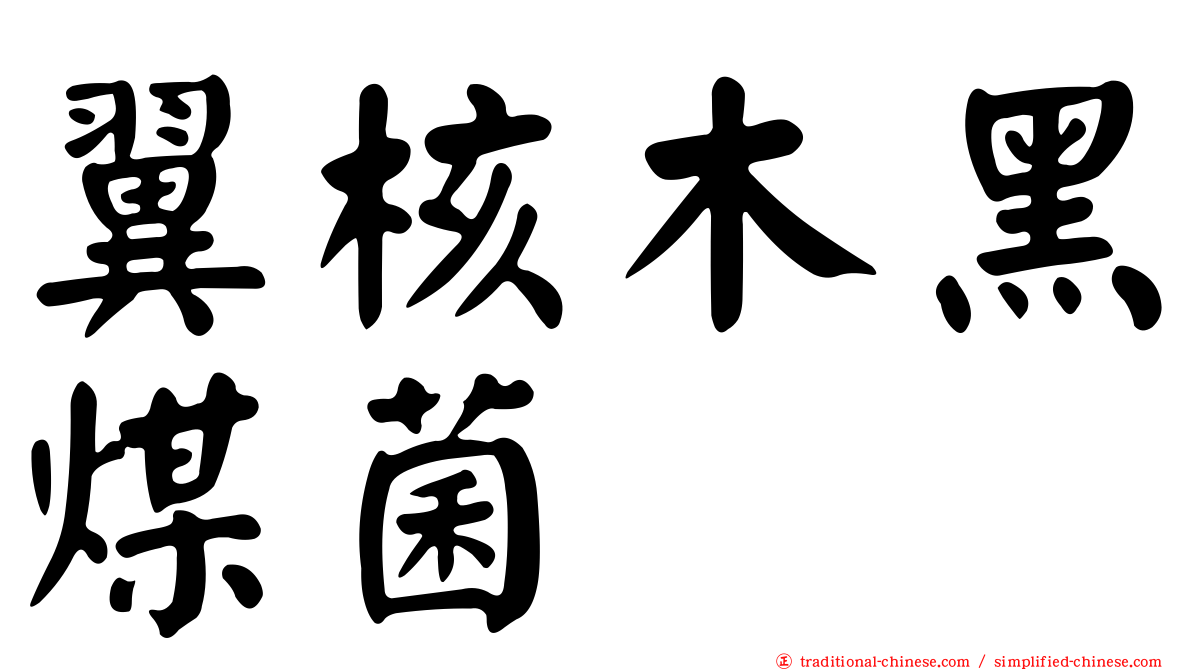 翼核木黑煤菌