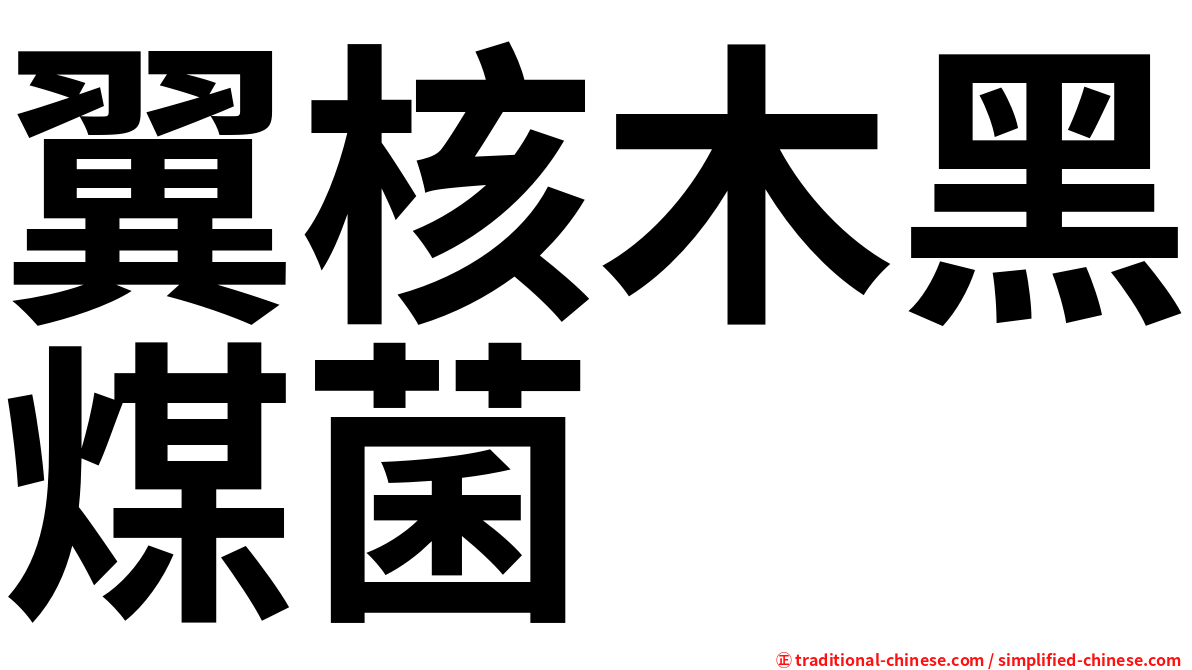 翼核木黑煤菌