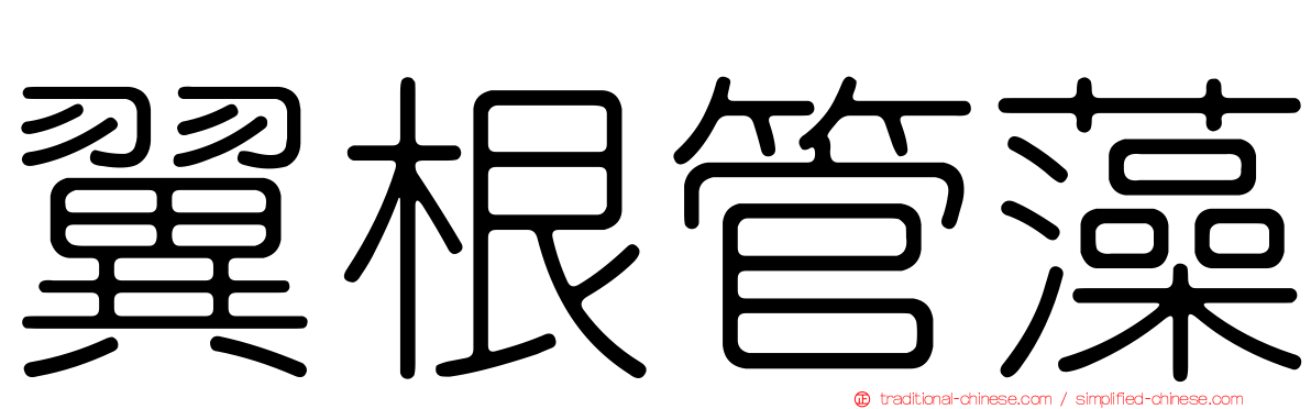 翼根管藻