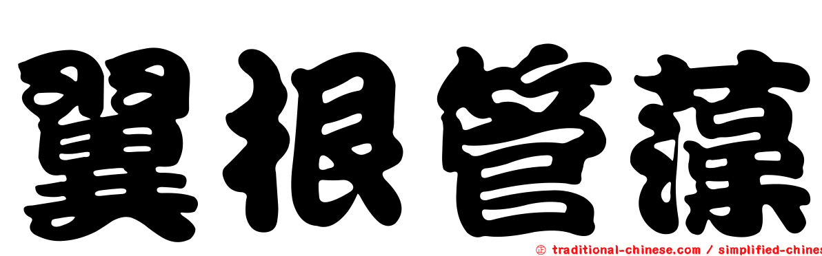 翼根管藻