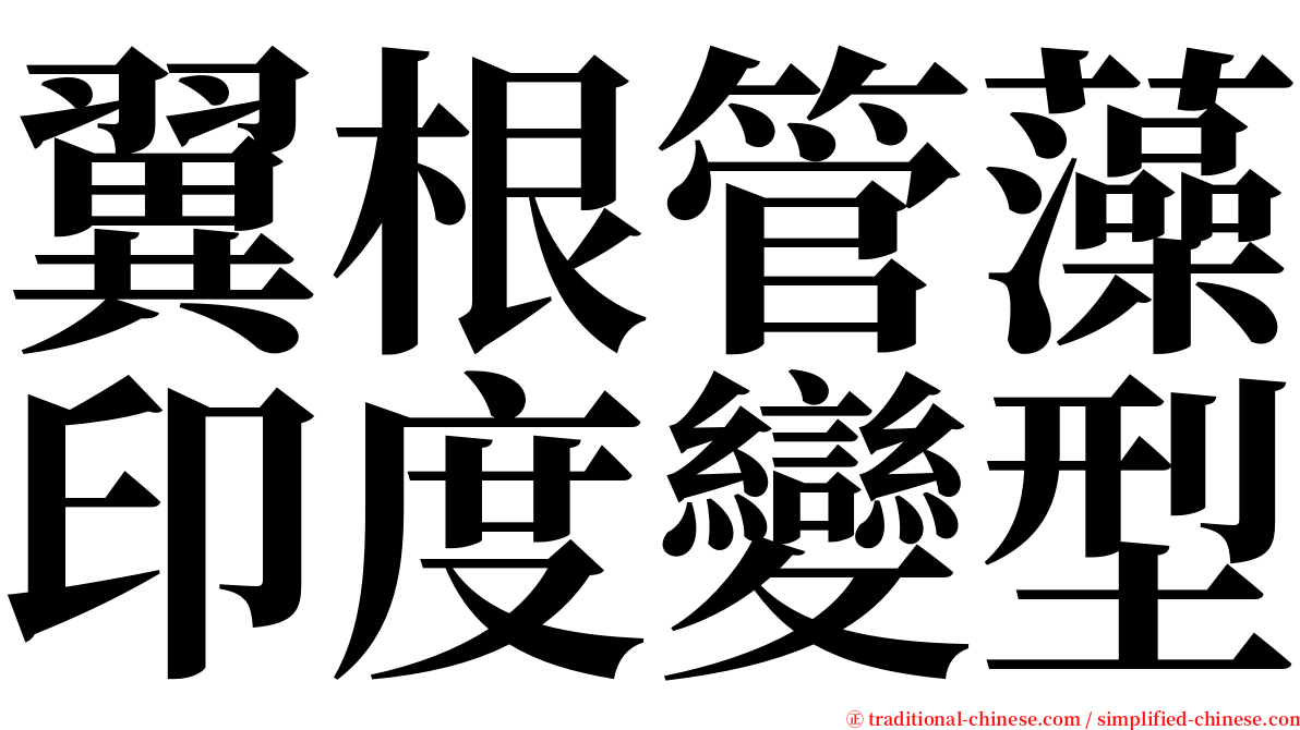 翼根管藻印度變型 serif font