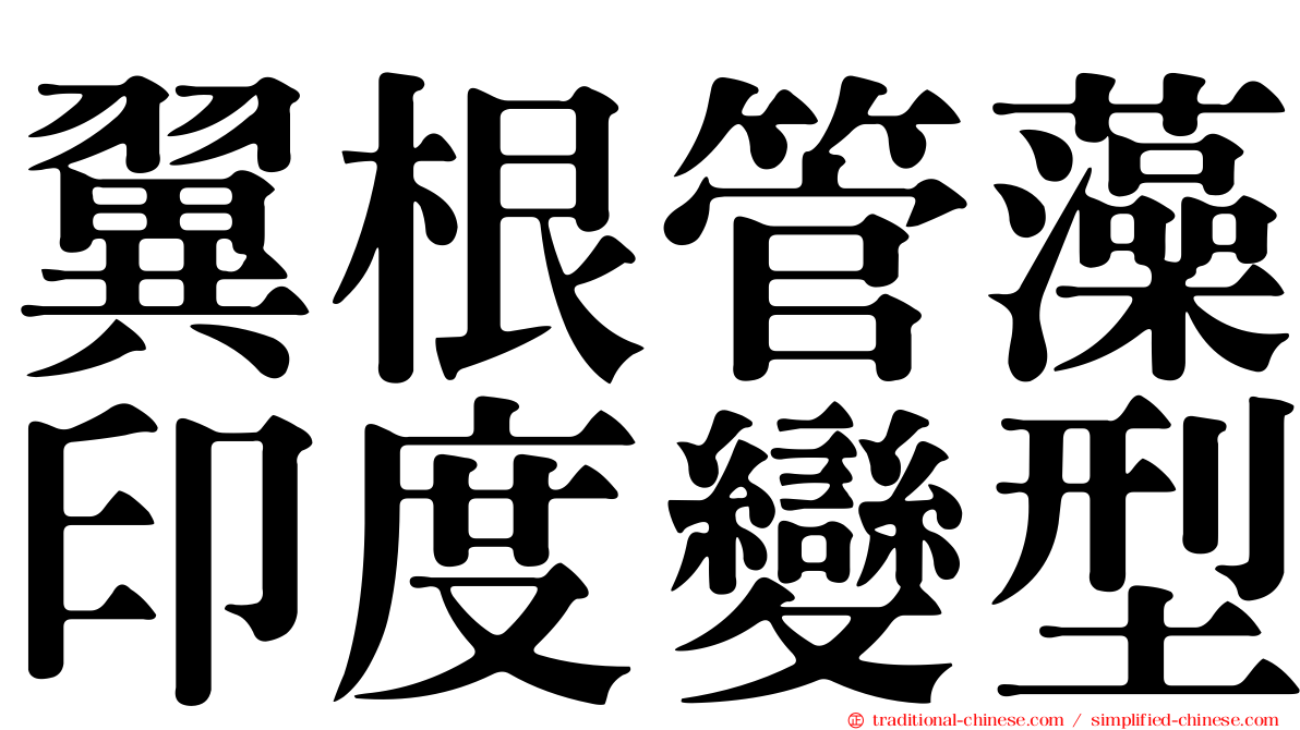 翼根管藻印度變型