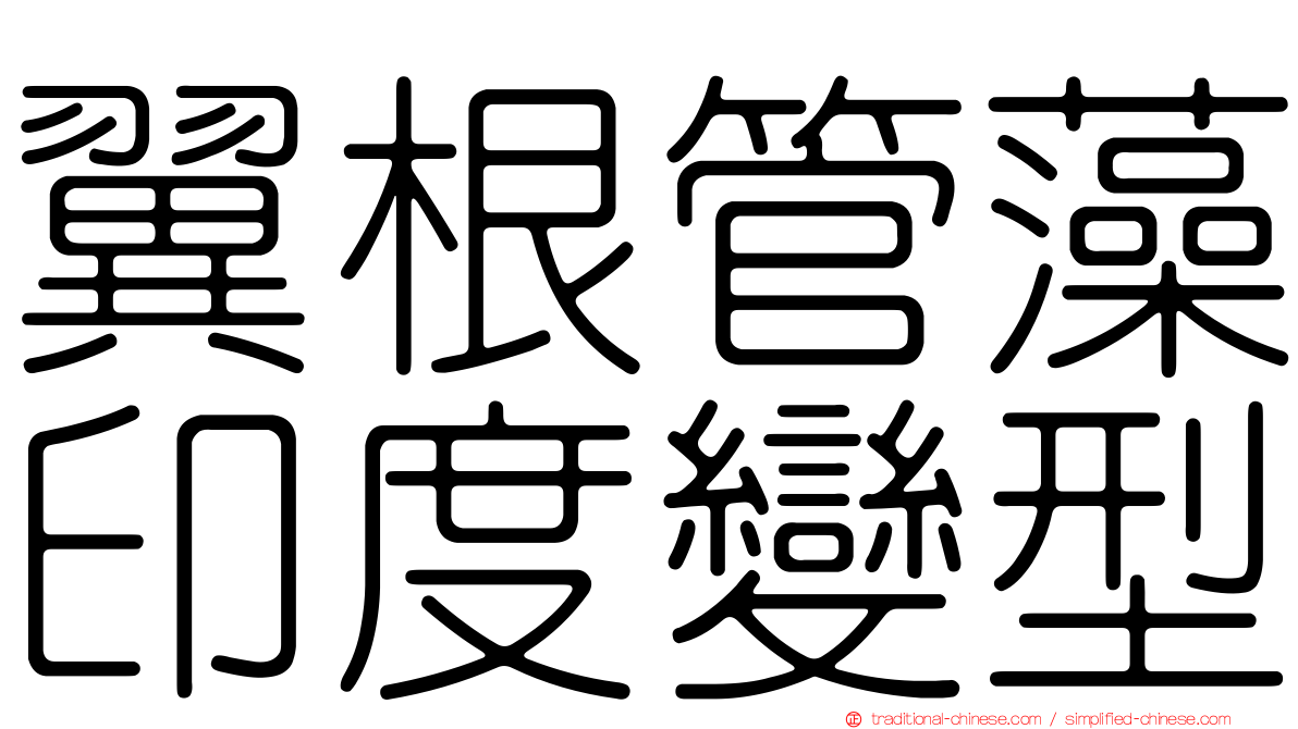 翼根管藻印度變型