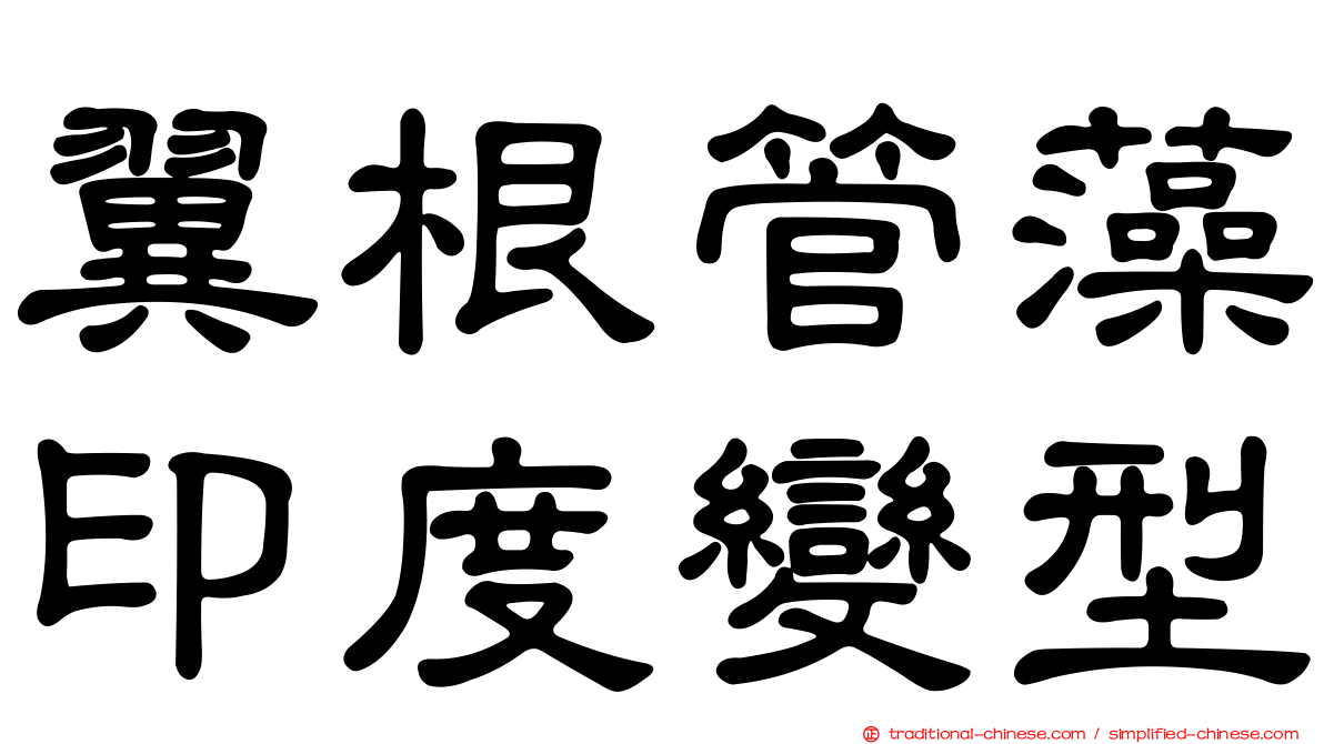翼根管藻印度變型