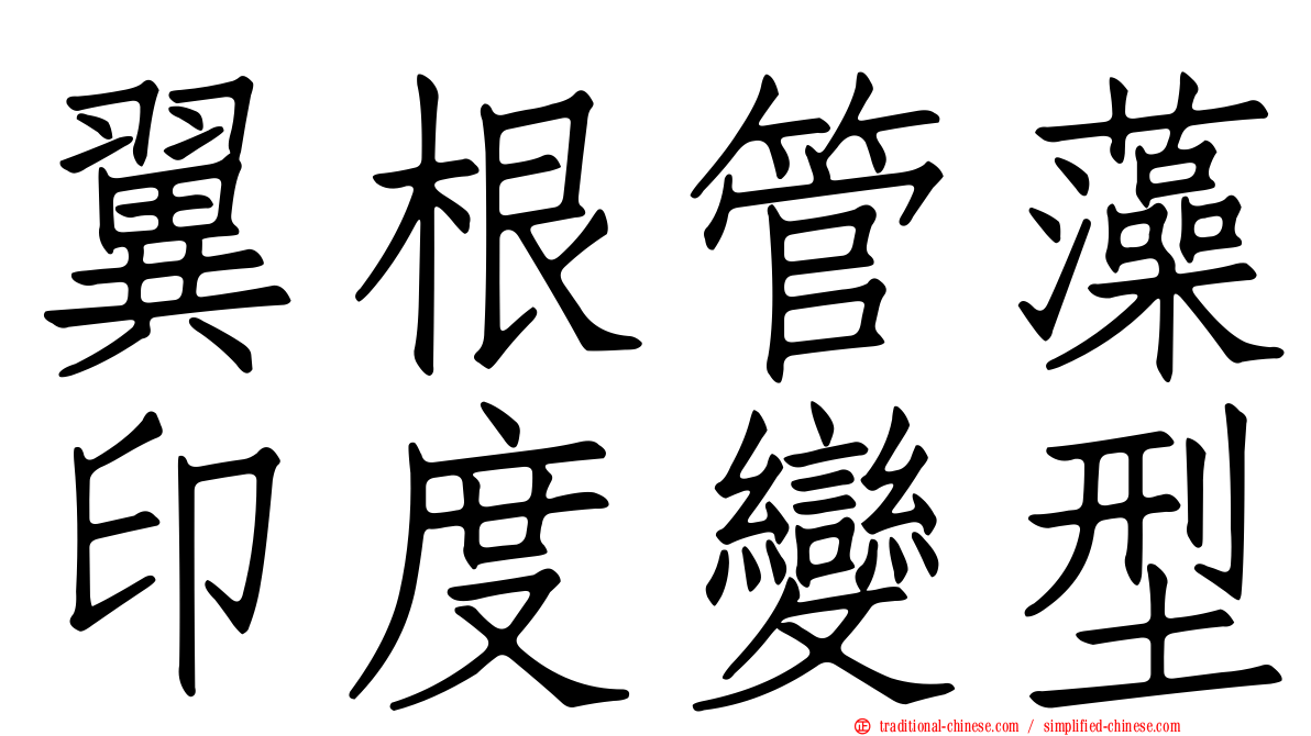 翼根管藻印度變型