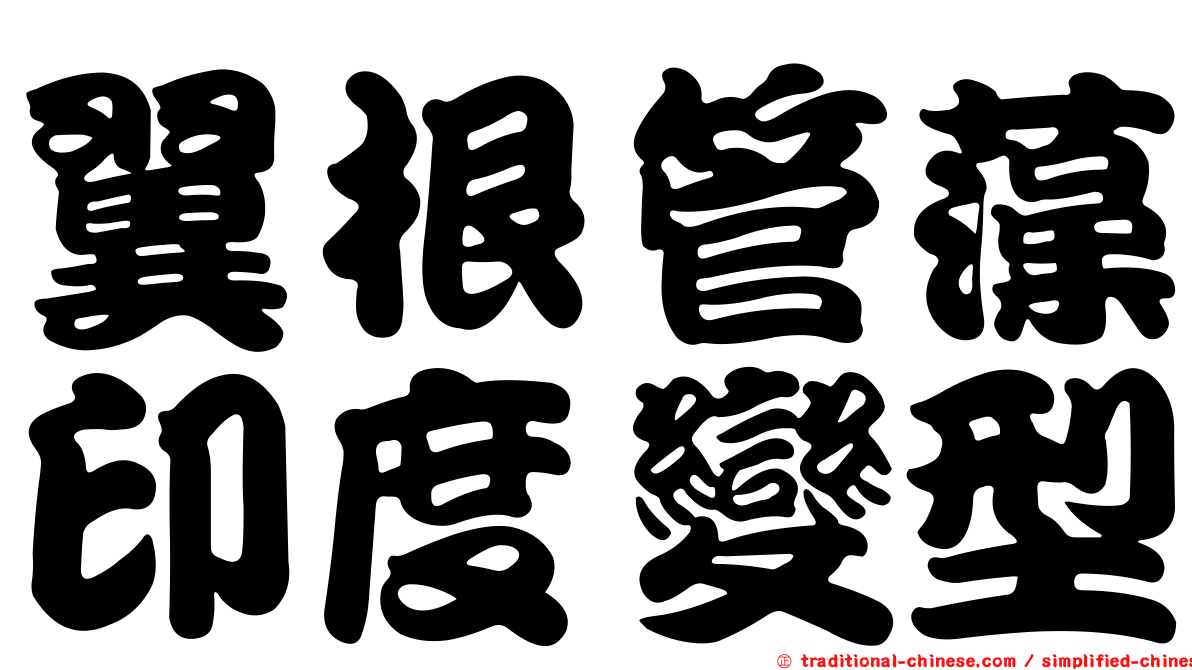 翼根管藻印度變型