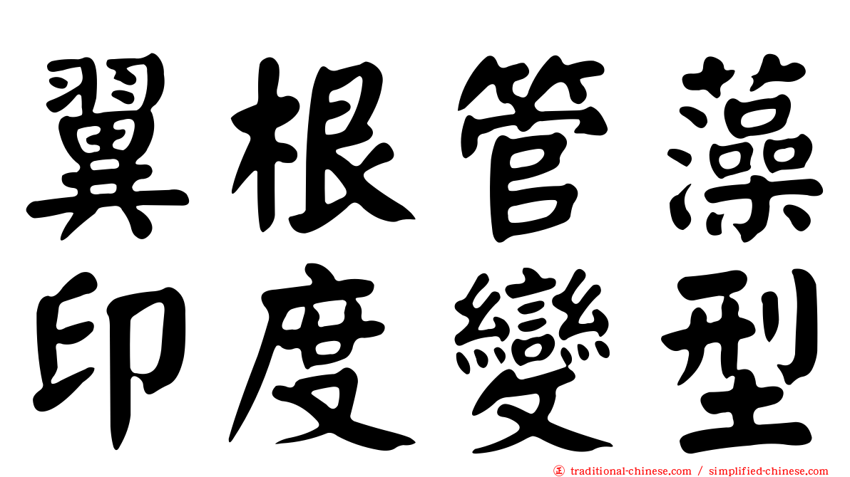 翼根管藻印度變型