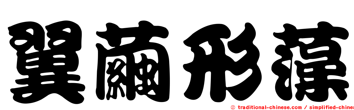 翼繭形藻