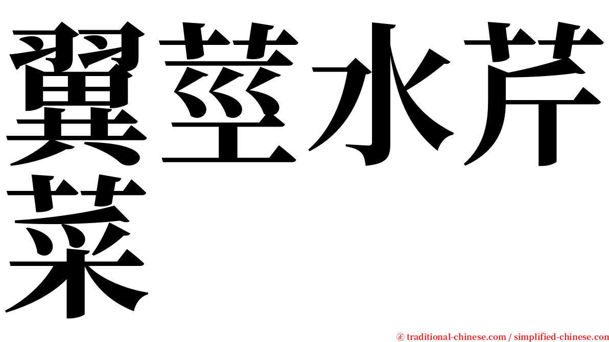 翼莖水芹菜 serif font