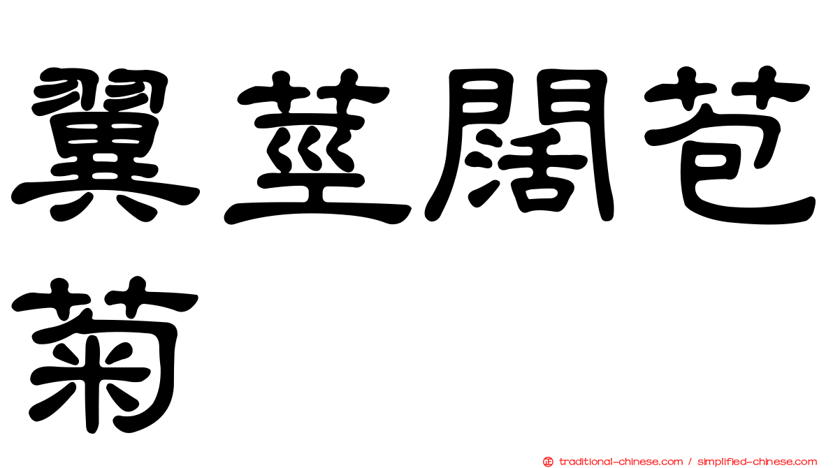 翼莖闊苞菊