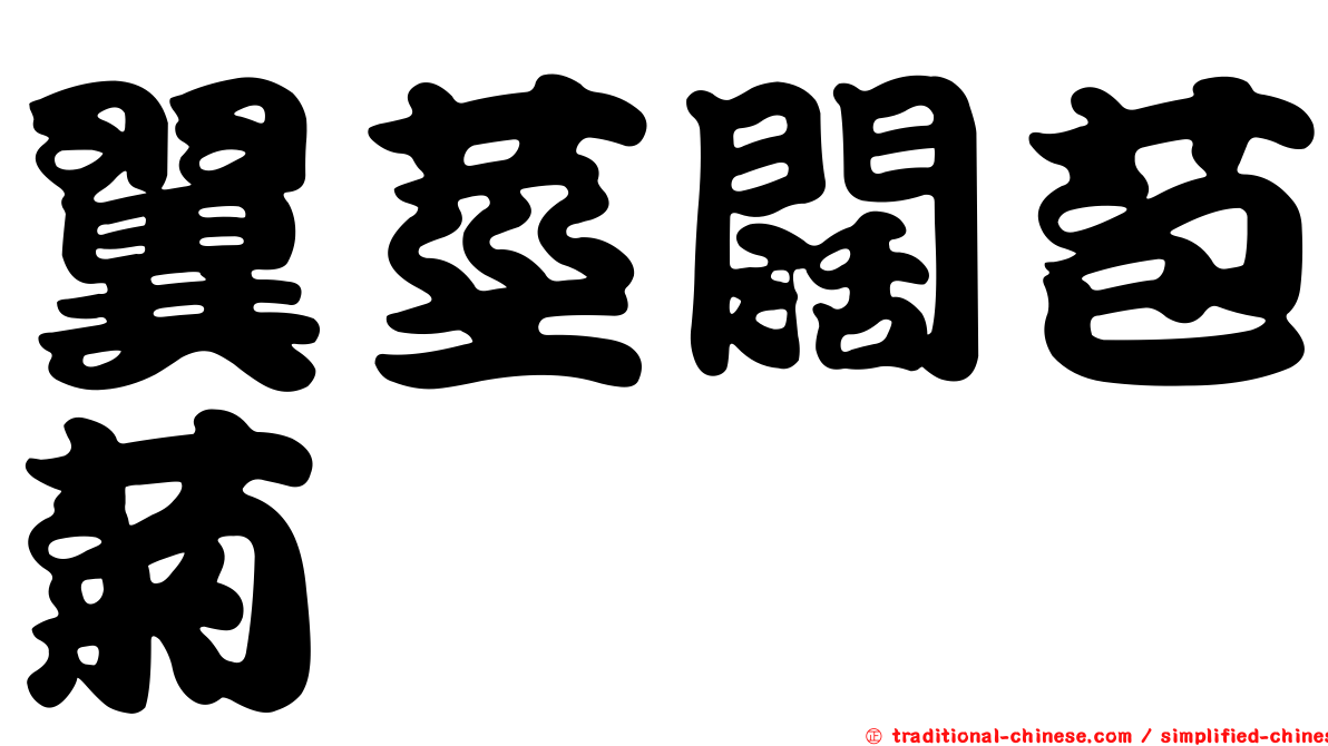 翼莖闊苞菊