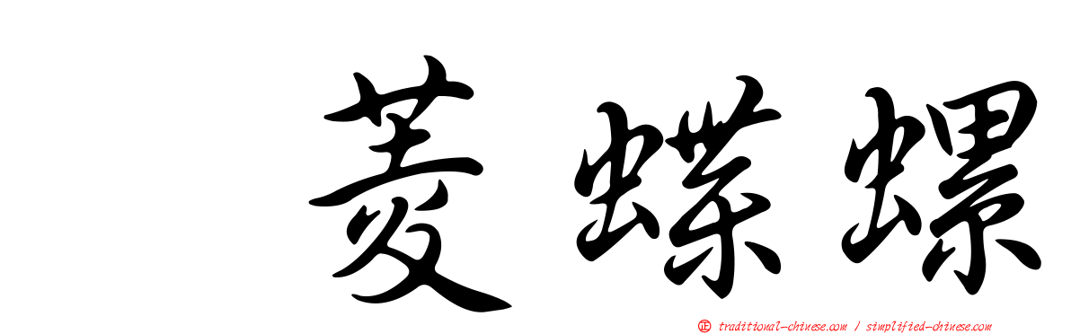 翼菱蝶螺