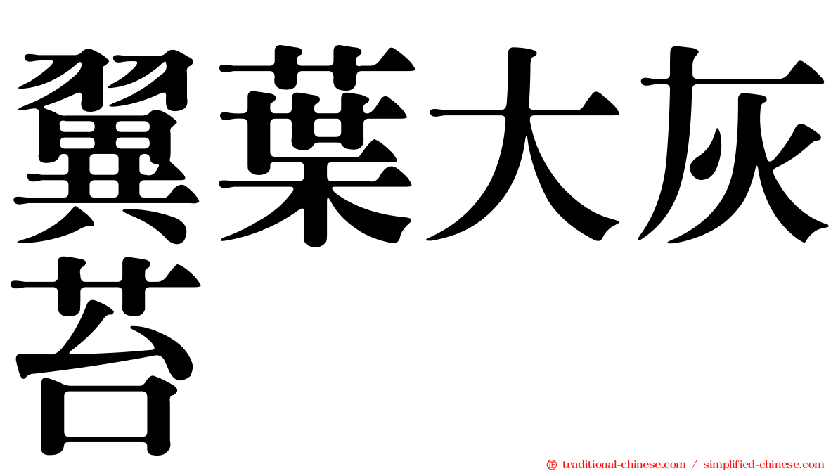 翼葉大灰苔