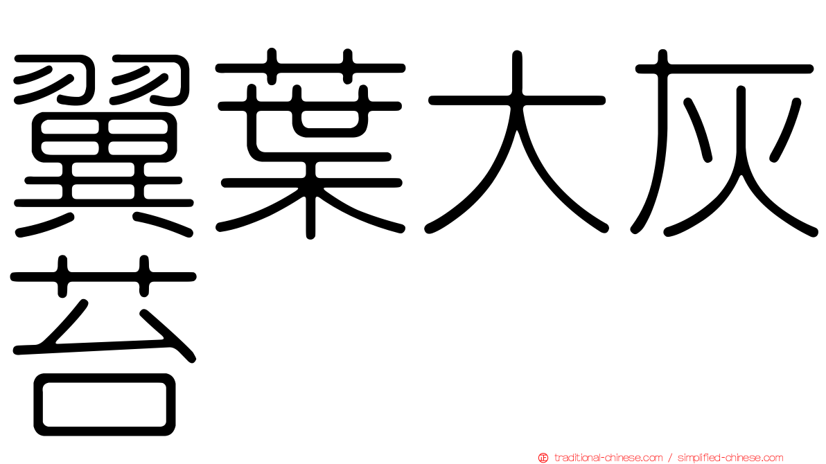 翼葉大灰苔