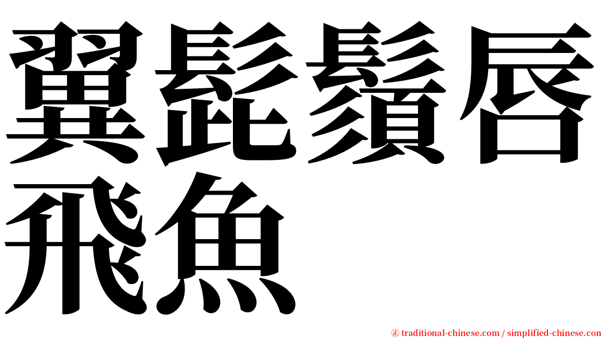 翼髭鬚唇飛魚 serif font