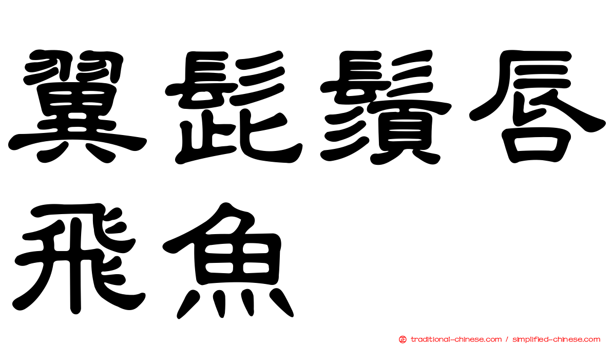 翼髭鬚唇飛魚