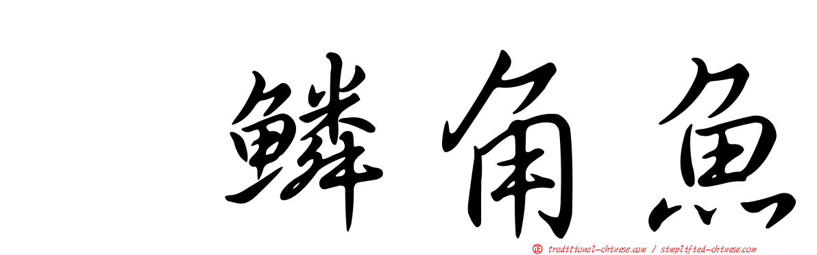 翼鱗角魚