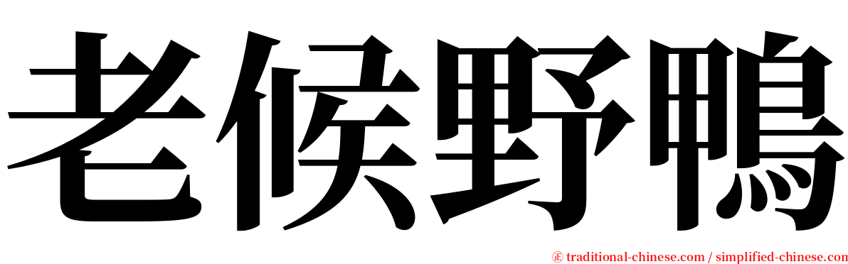老候野鴨 serif font