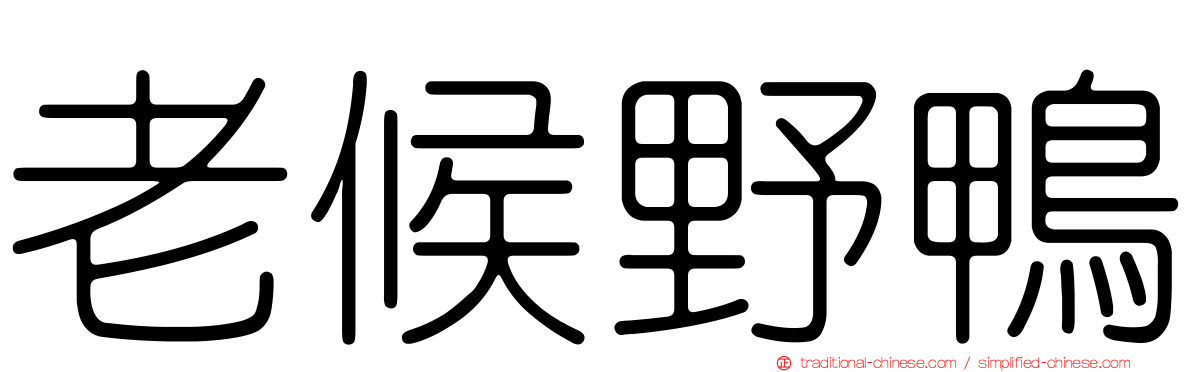 老候野鴨