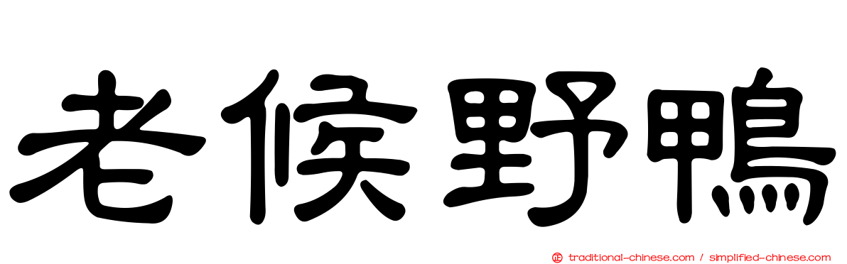 老候野鴨