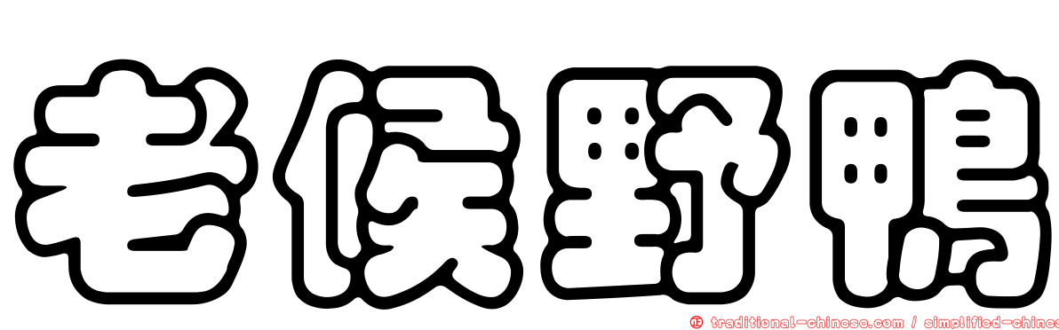 老候野鴨