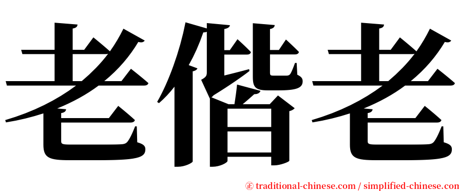 老偕老 serif font