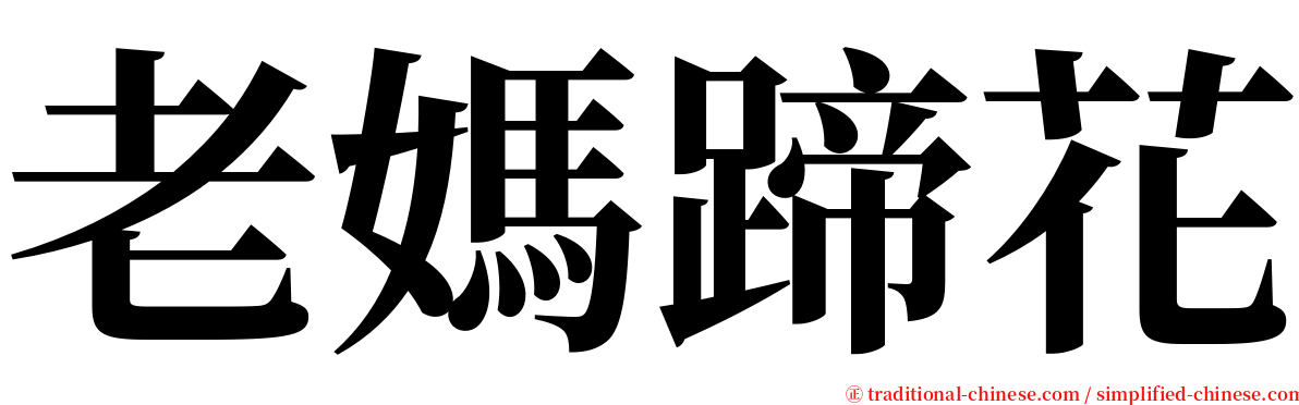 老媽蹄花 serif font