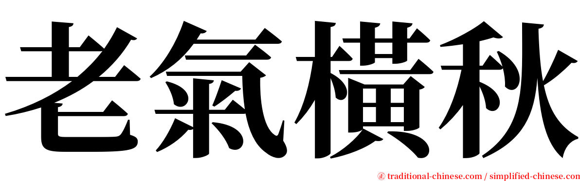 老氣橫秋 serif font
