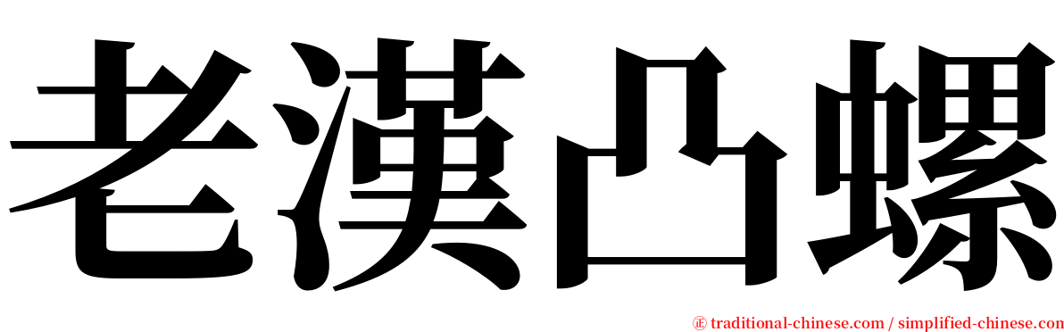 老漢凸螺 serif font