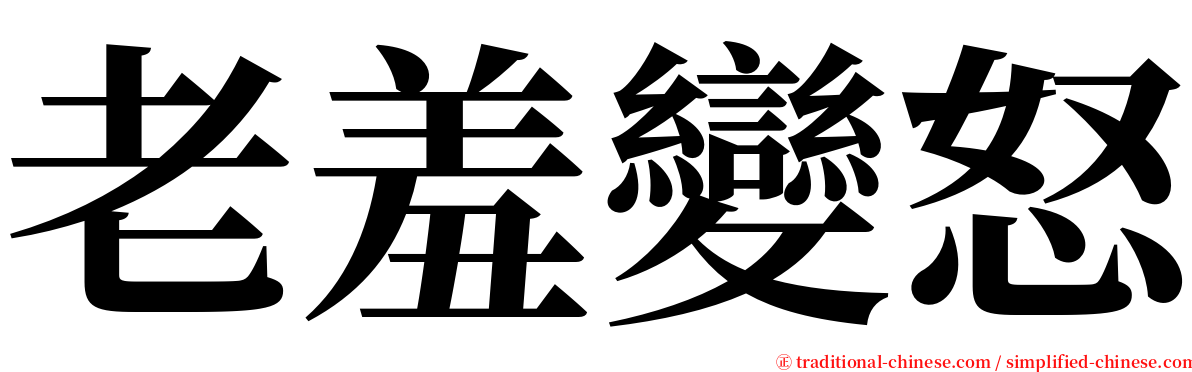 老羞變怒 serif font