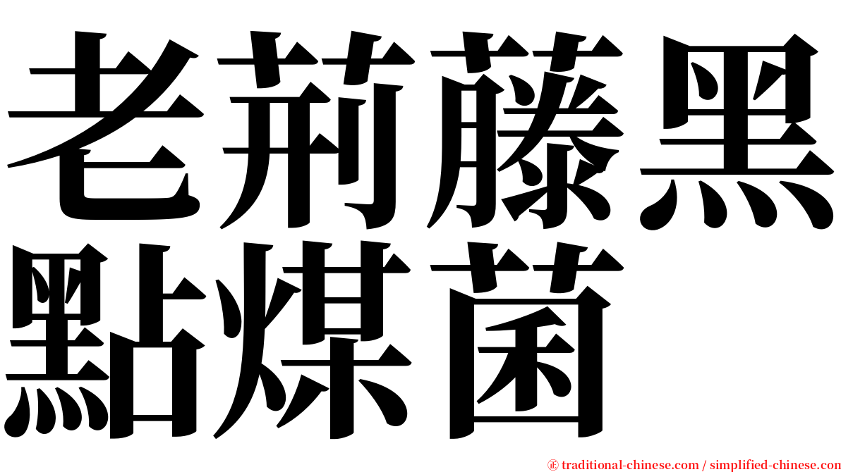 老荊藤黑點煤菌 serif font