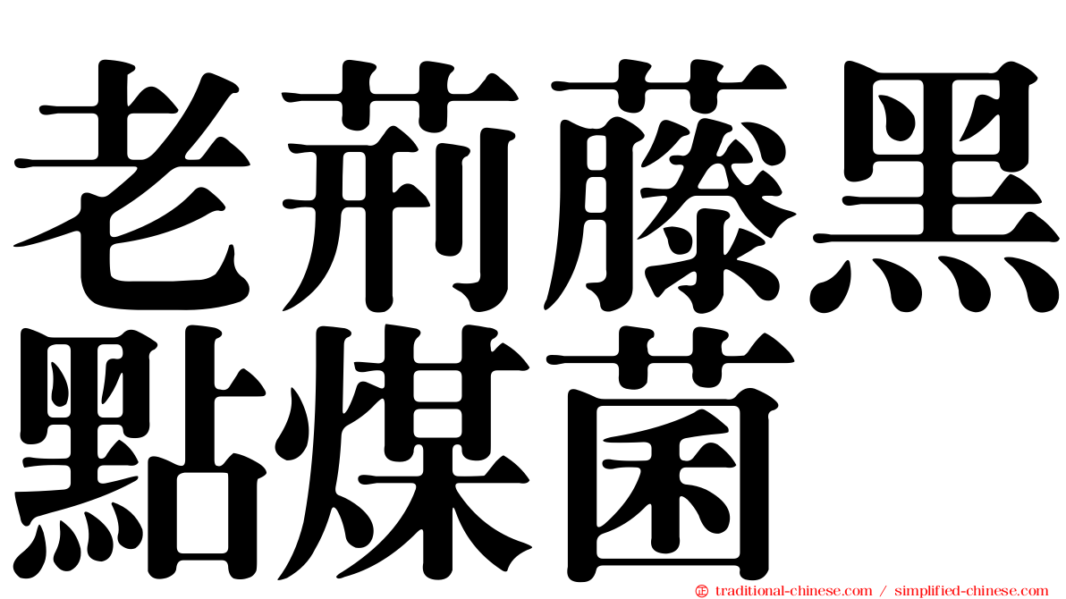 老荊藤黑點煤菌