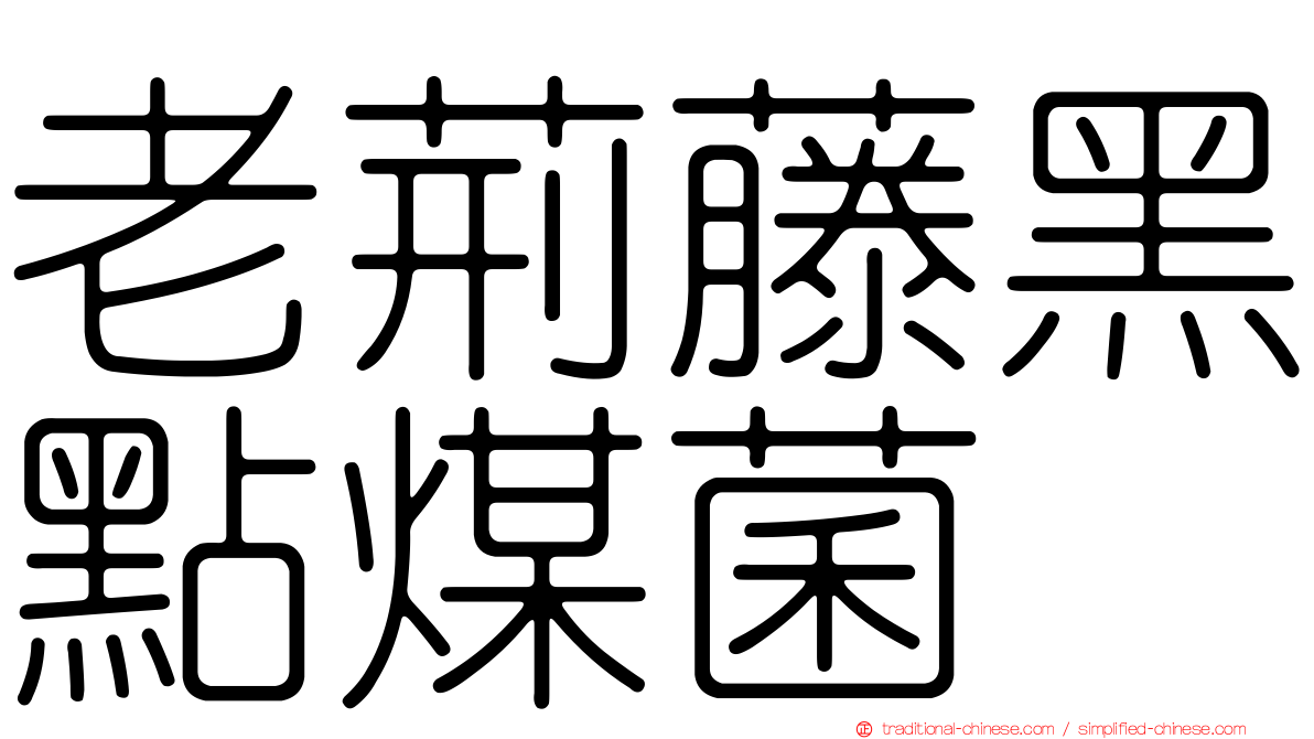 老荊藤黑點煤菌