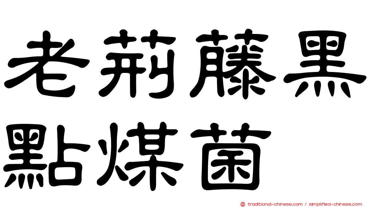 老荊藤黑點煤菌