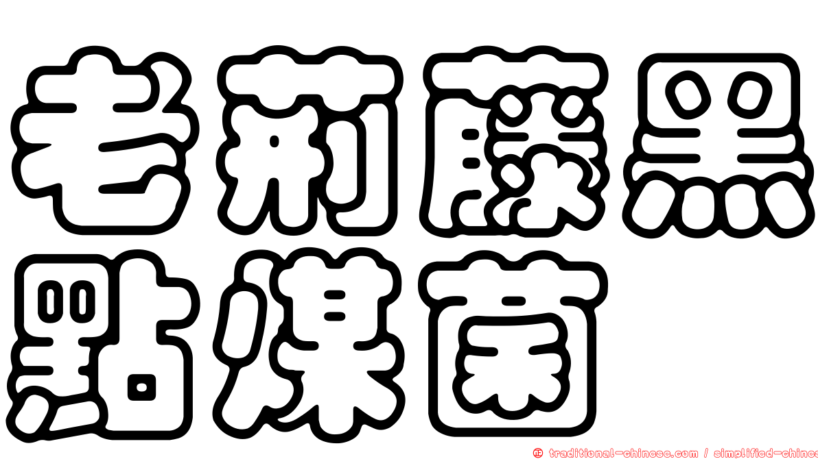 老荊藤黑點煤菌
