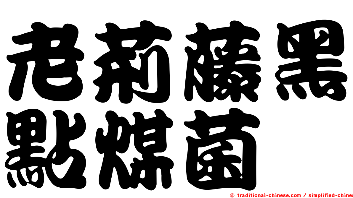 老荊藤黑點煤菌