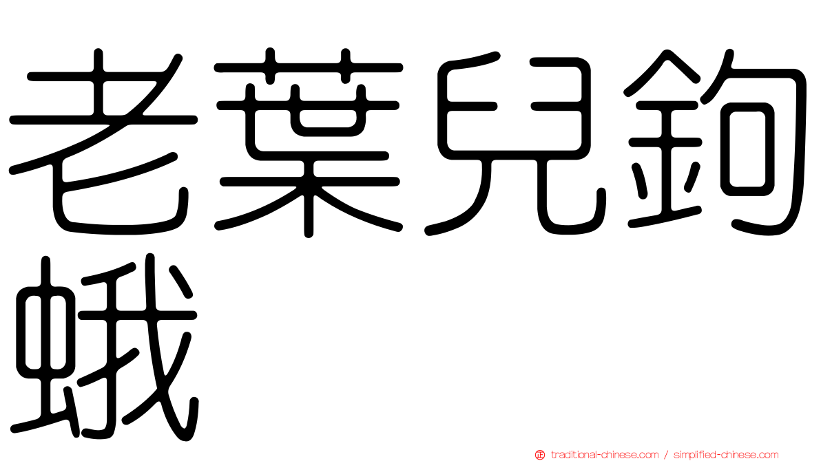 老葉兒鉤蛾