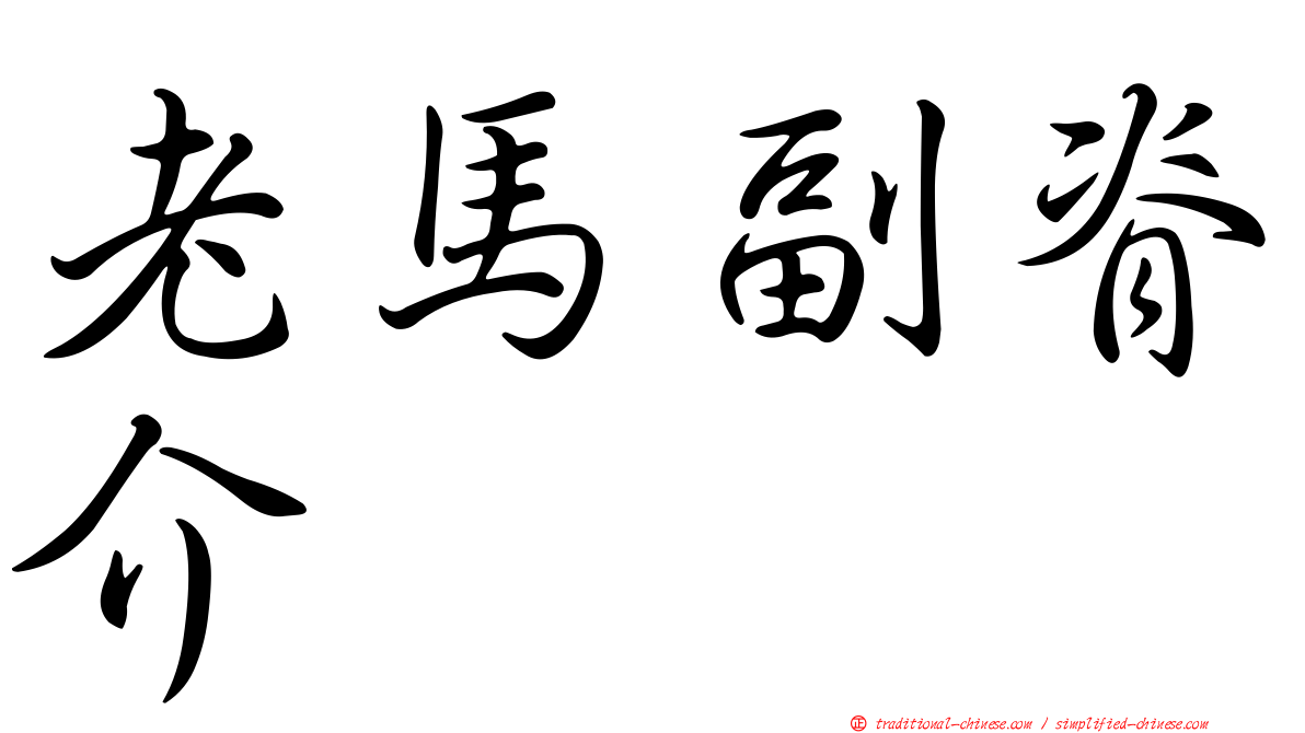 老馬副脊介