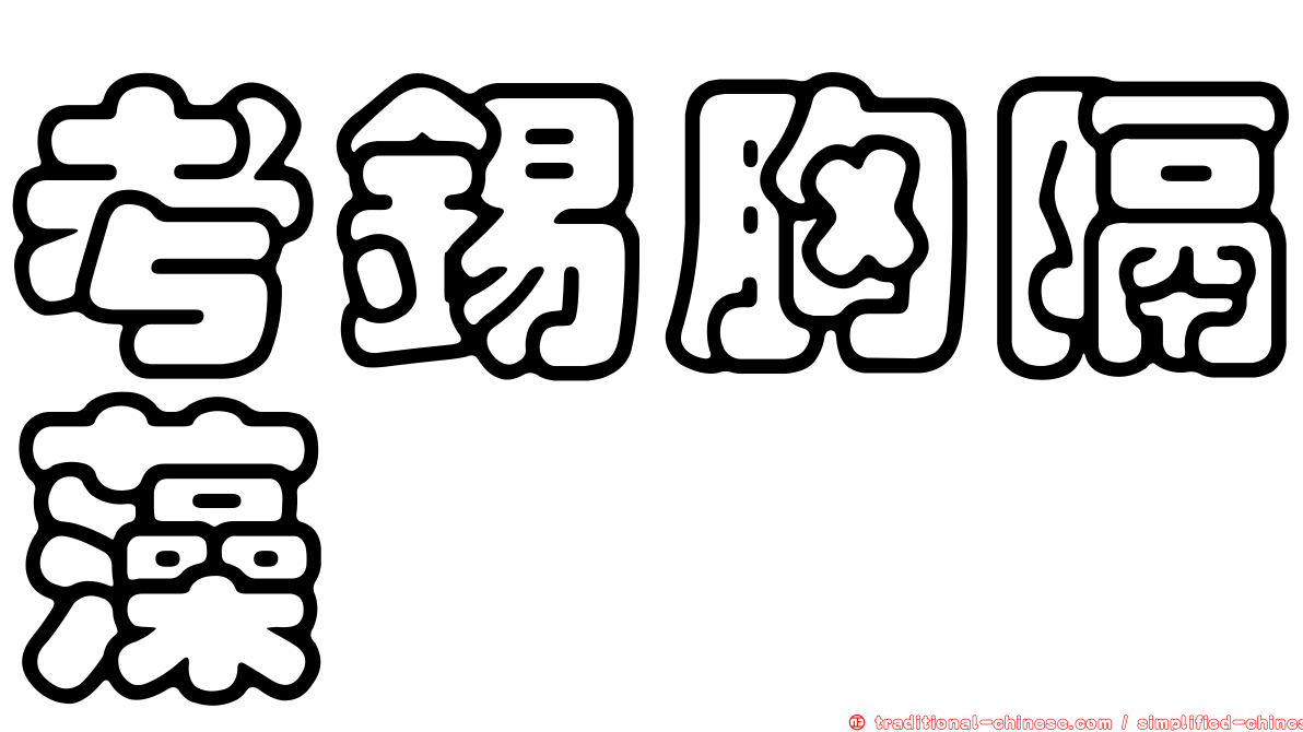 考錫胸隔藻